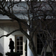 Photo: Brendan Smialowski/Getty